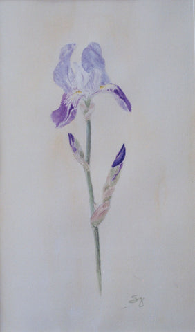 One Beautiful Purple Iris | Purple Iris Painting
