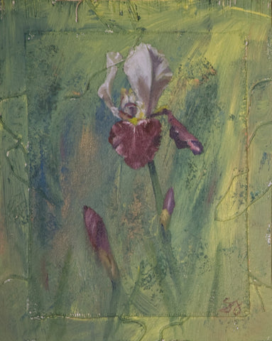 Red-Violet Iris Painting