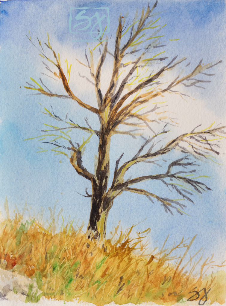 Tree Dark and Light 5.25" x 7.25" Watercolor